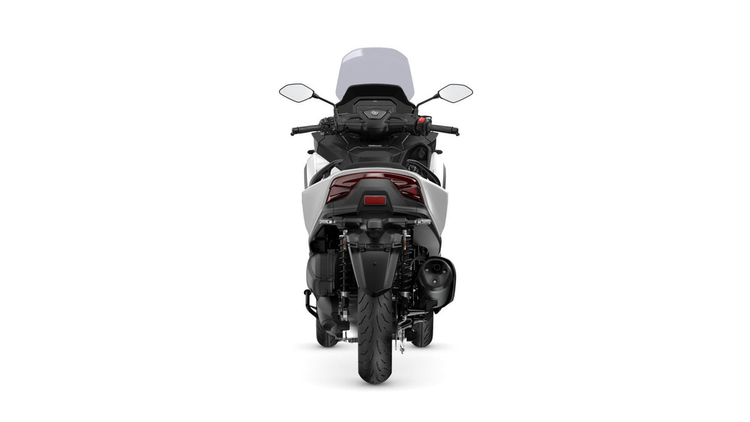 Tricity 300