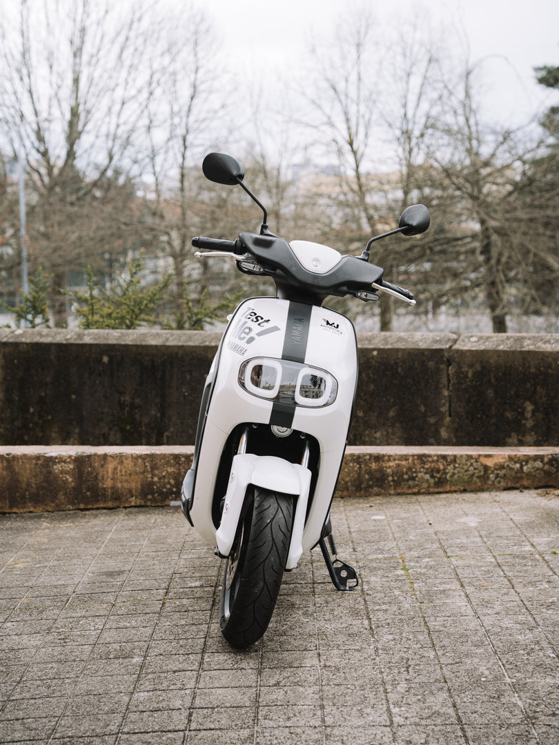 Yamaha Neo's Dual Battery